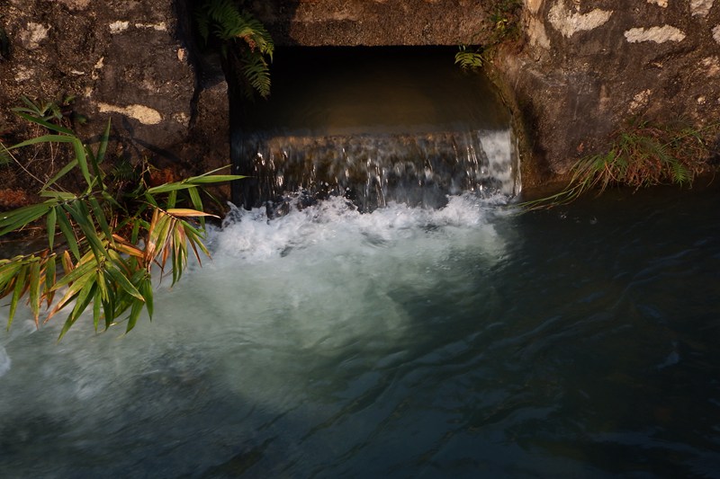 DSC_018.jpg