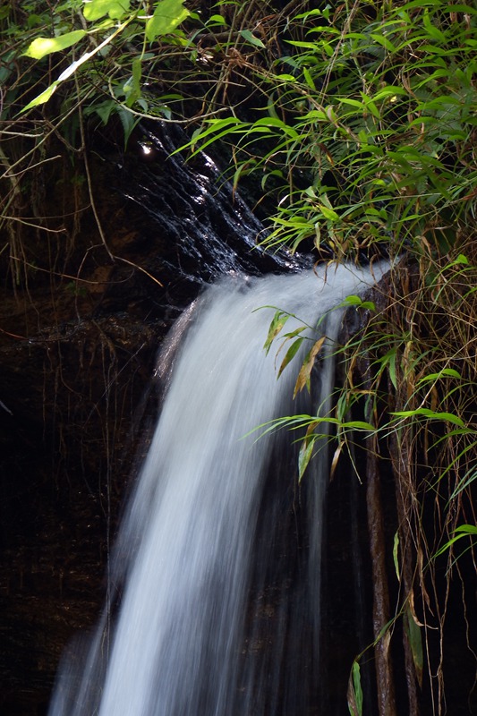 DSCF8573.JPG