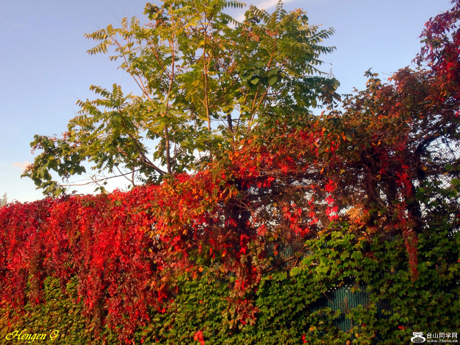 DSC02451.JPG