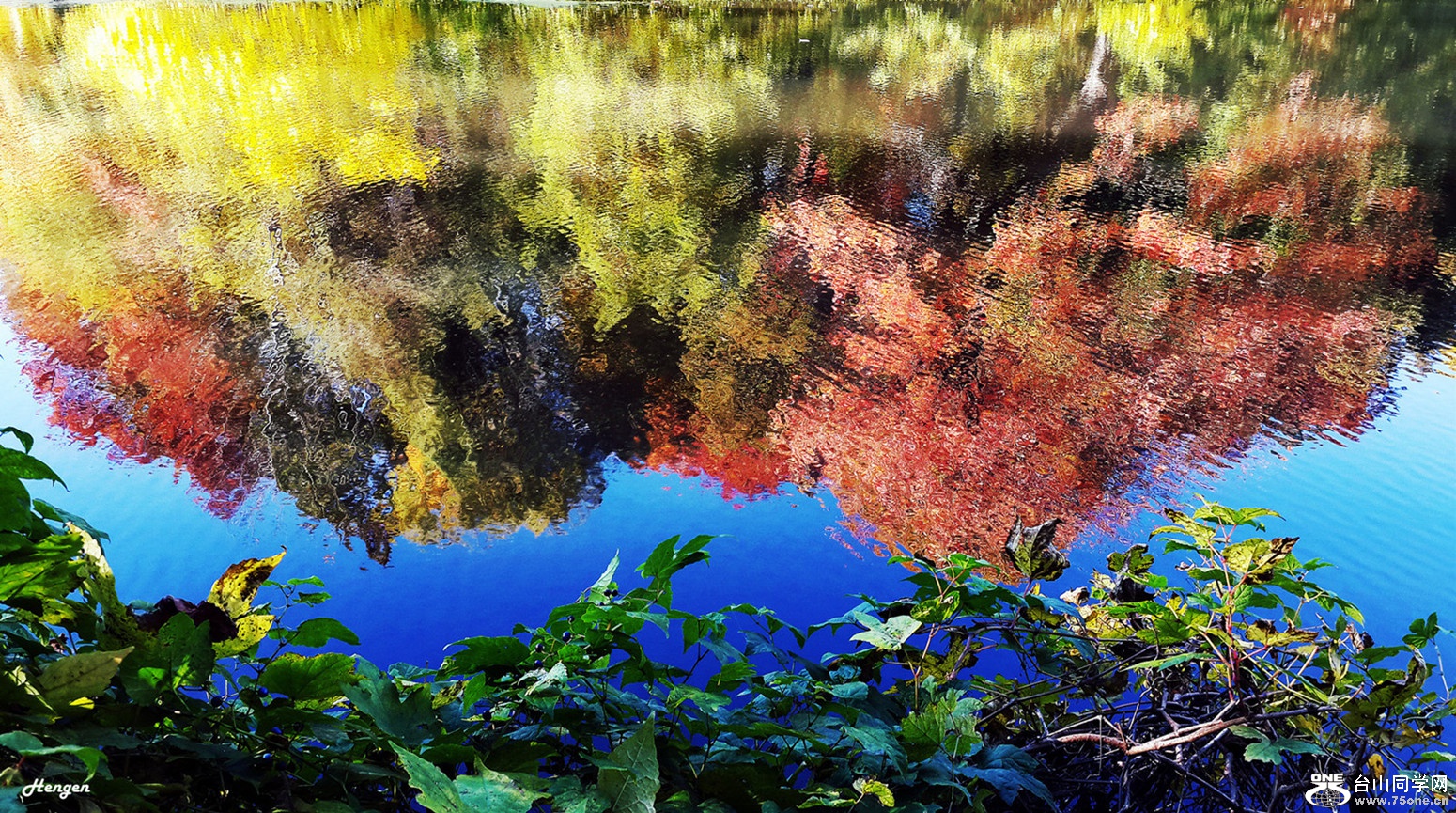 20151030_142728.jpg
