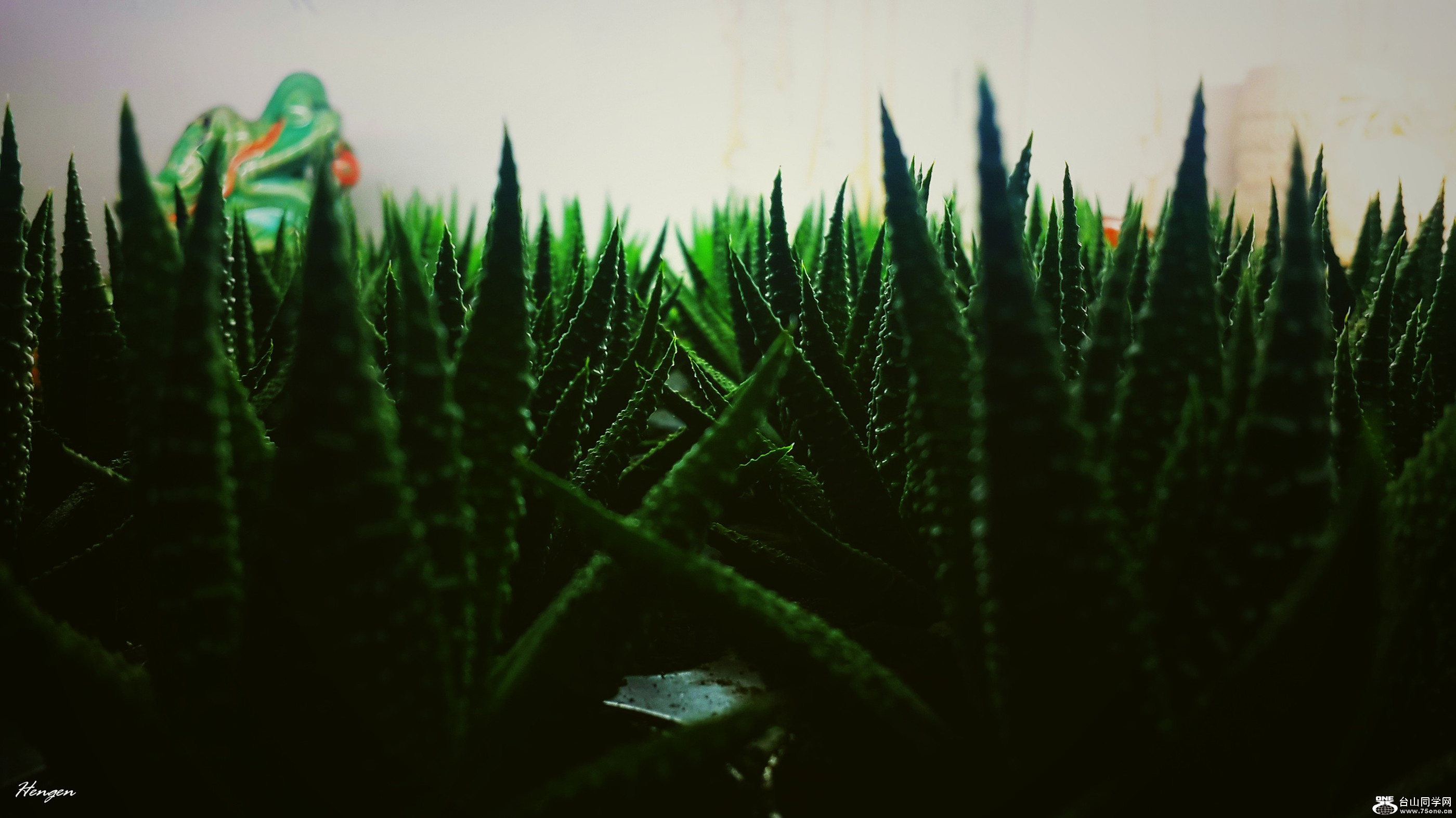 20151002_172443.jpg