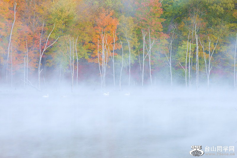 DSC_4110s.jpg