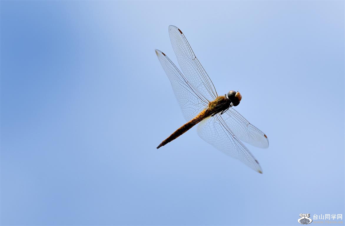 DSC_6703.jpg