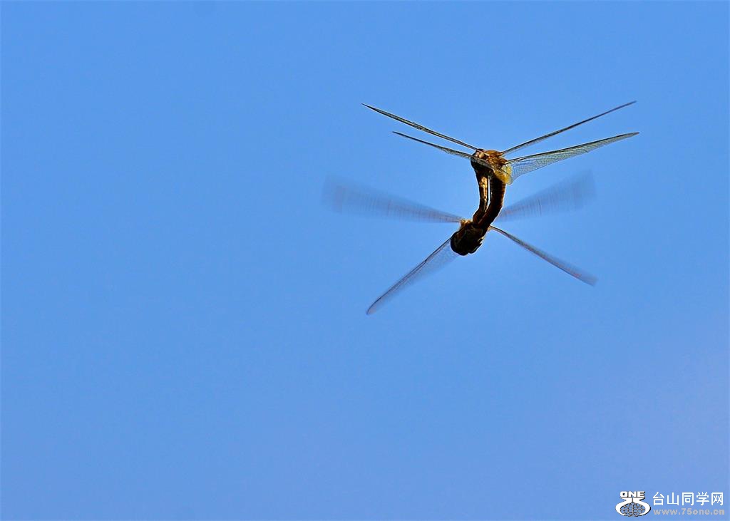 DSC_6635.jpg