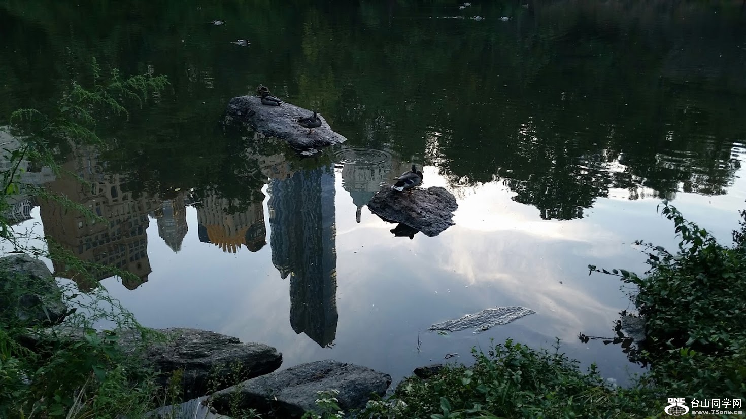 20151006_175315[2].jpg