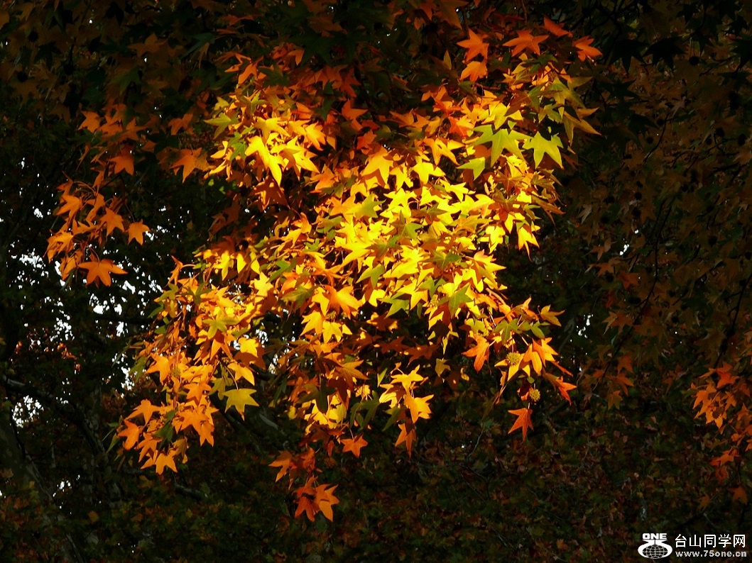 l2520815_conew1.jpg