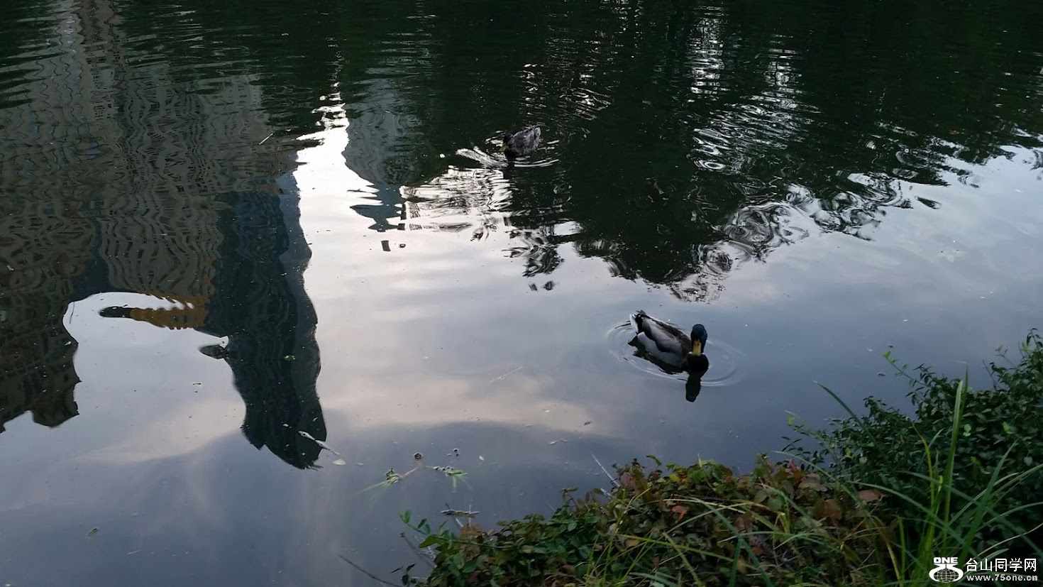 20151006_175952[2].jpg