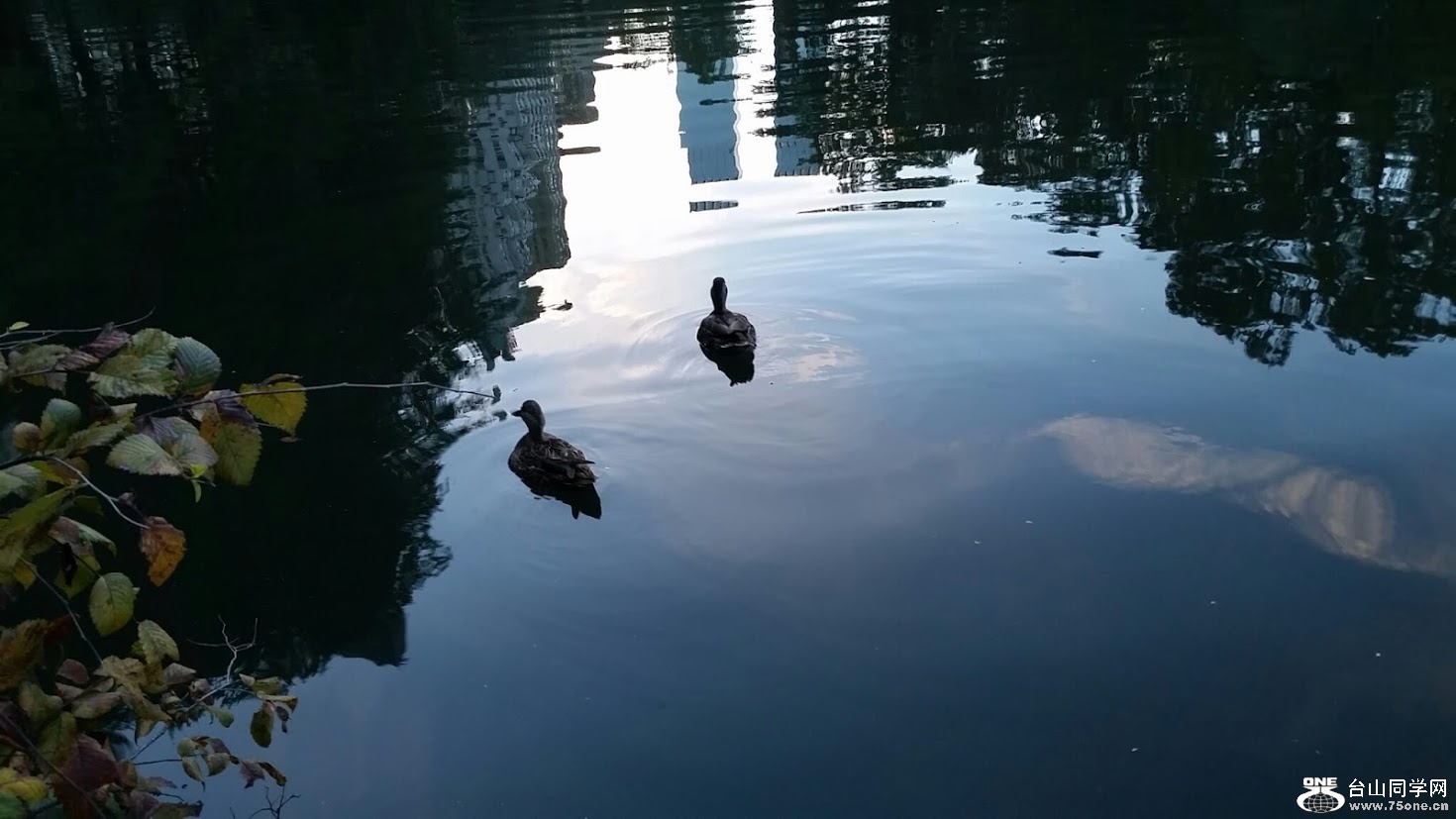 20151006_182243[1].jpg