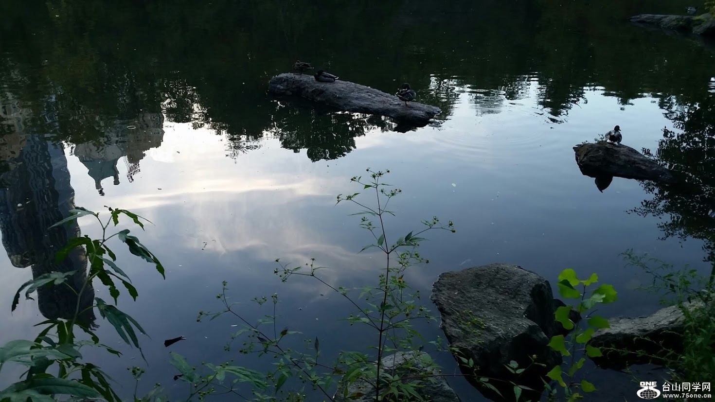 20151006_175416[1].jpg