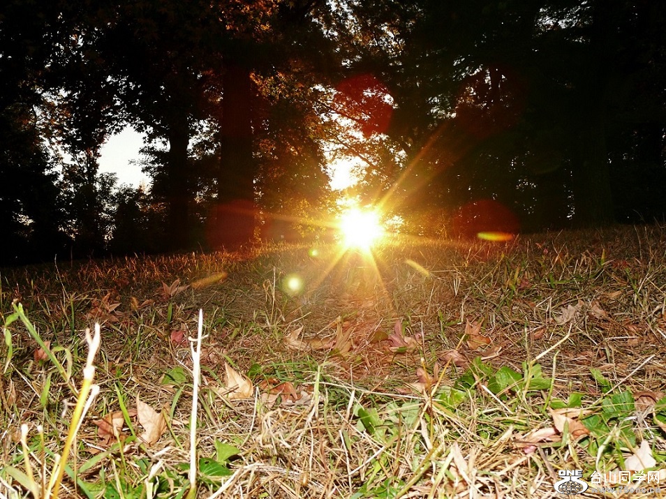 l2520810_conew2.jpg