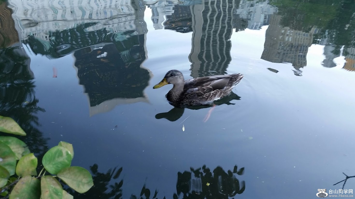 20151006_174529[2].jpg