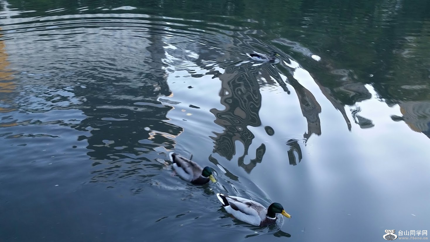 20151006_173515[2].jpg