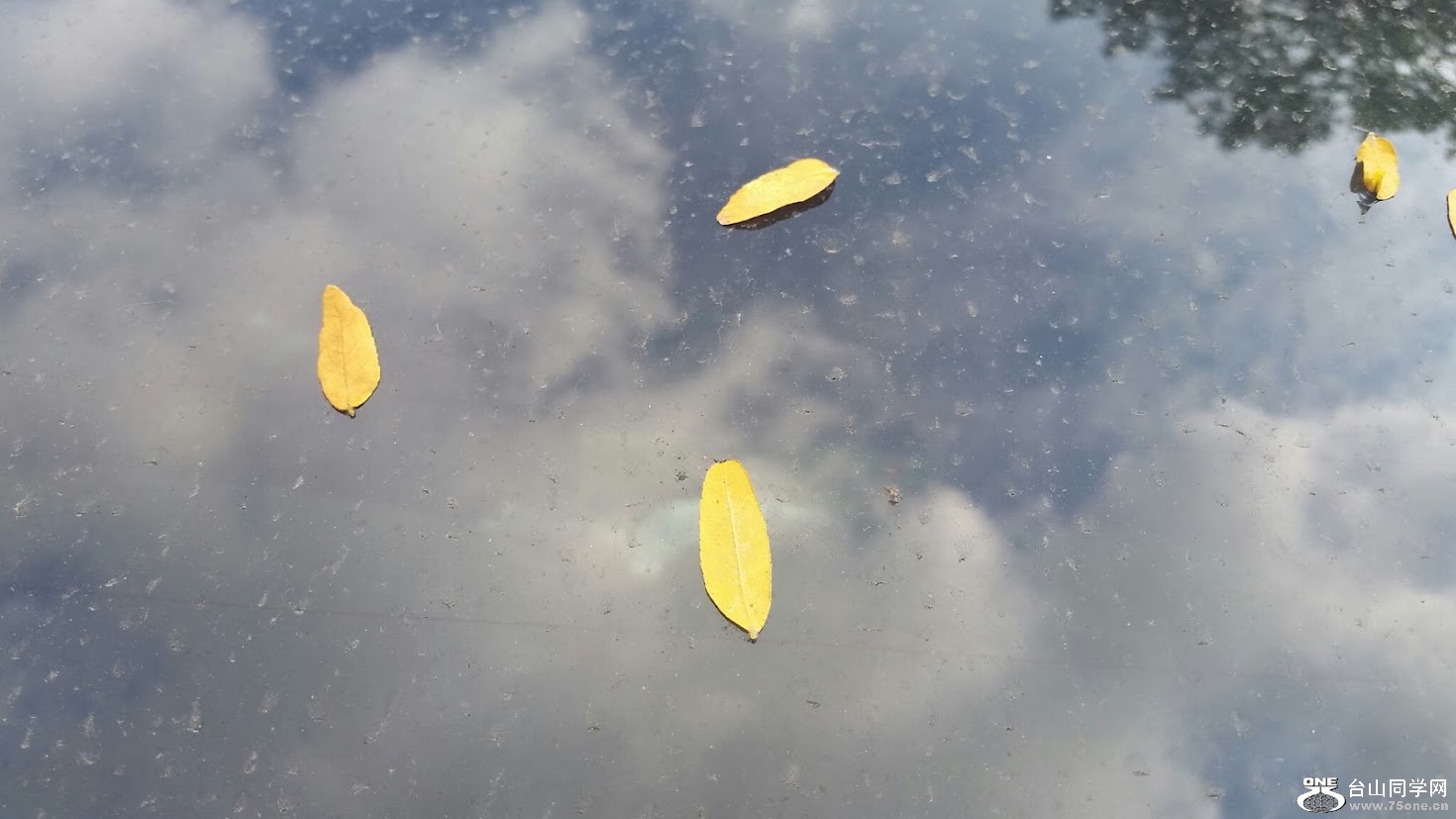 20151025_140747[1].jpg