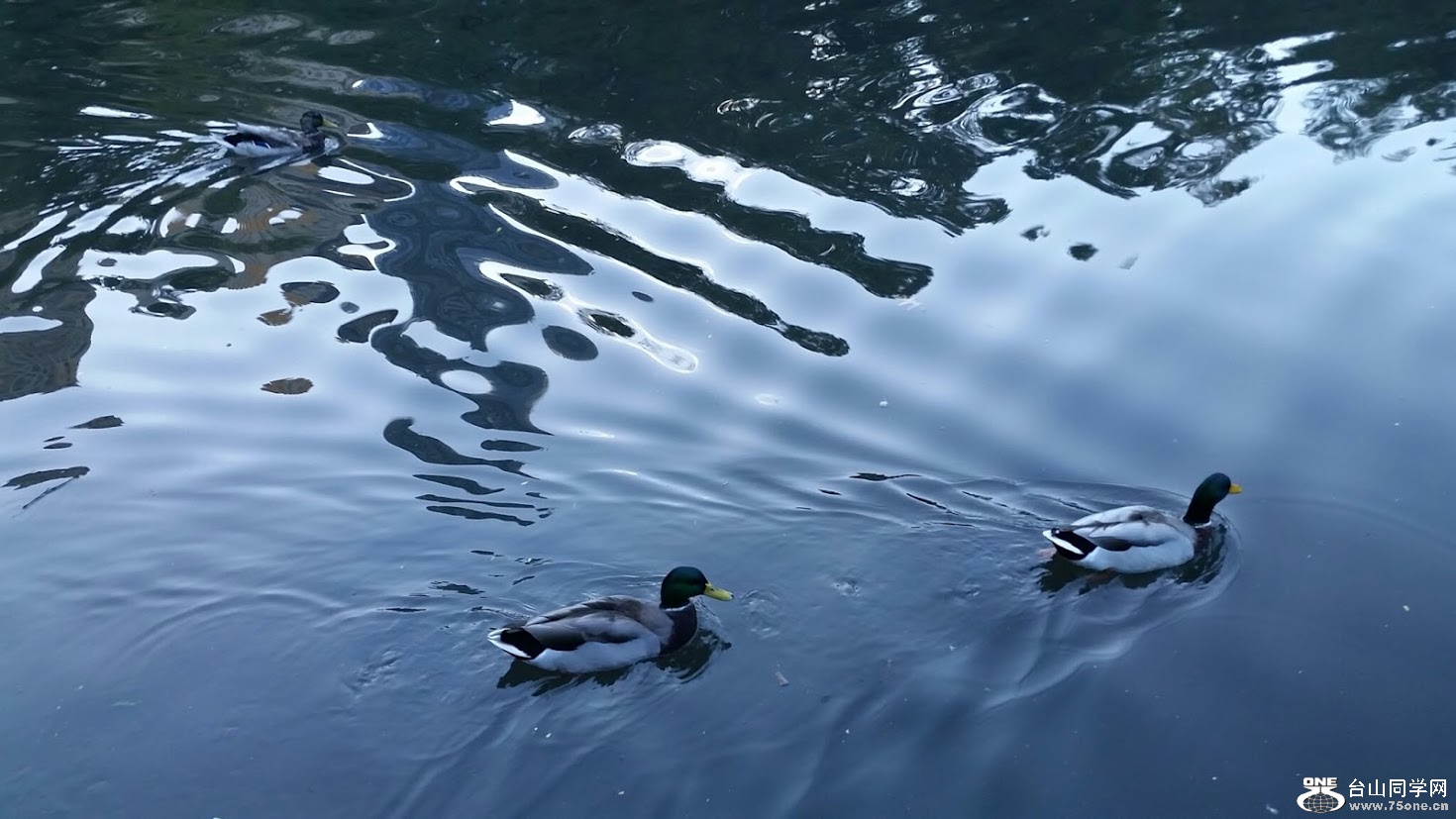 20151006_173519[1].jpg