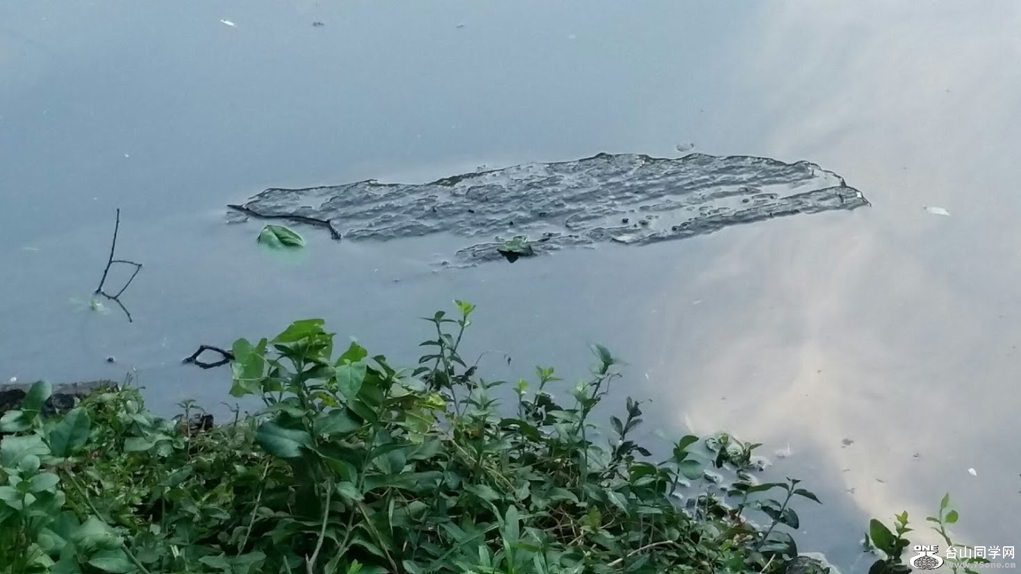 20151006_175230[2].jpg