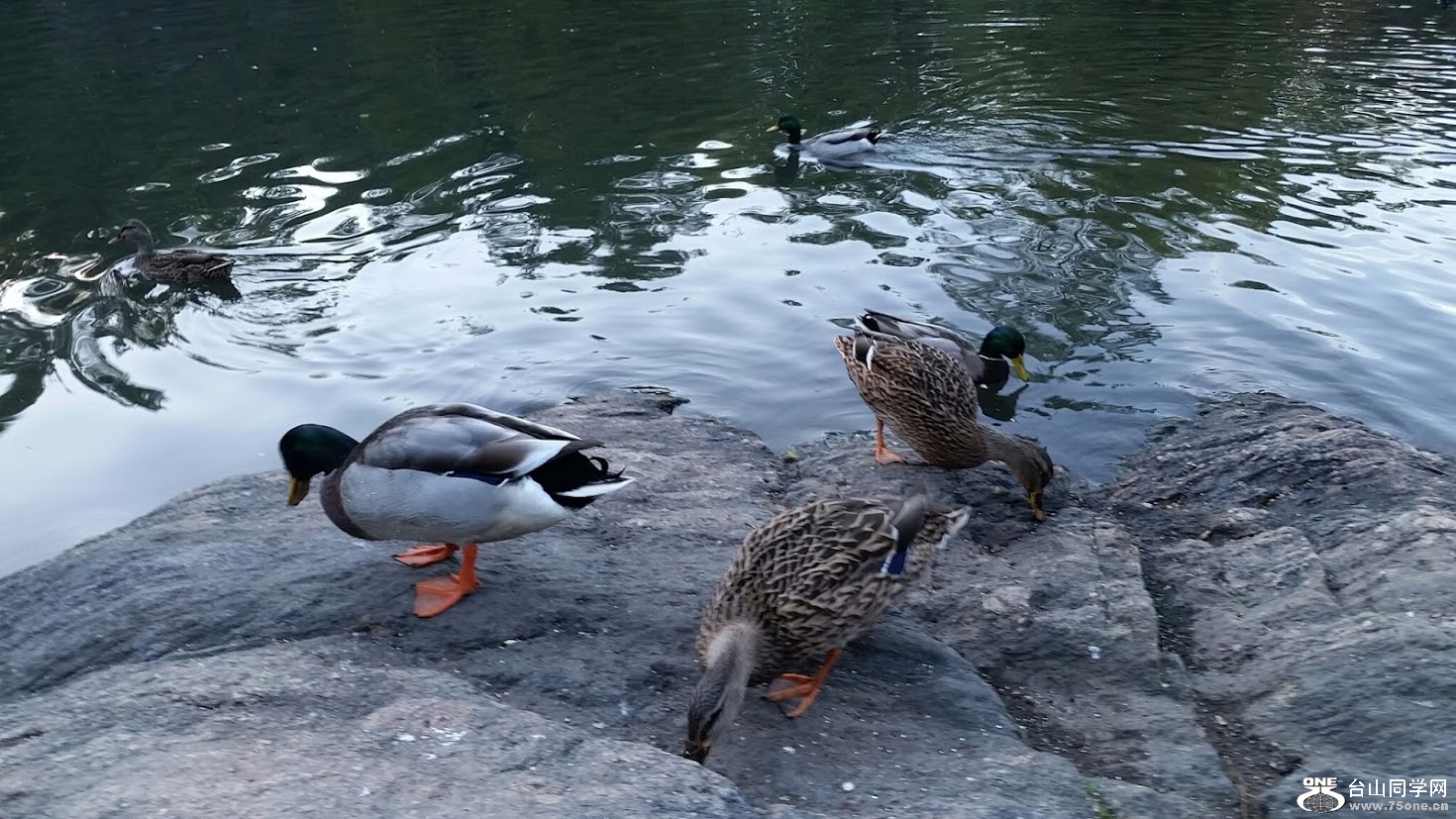 20151006_174251[2].jpg