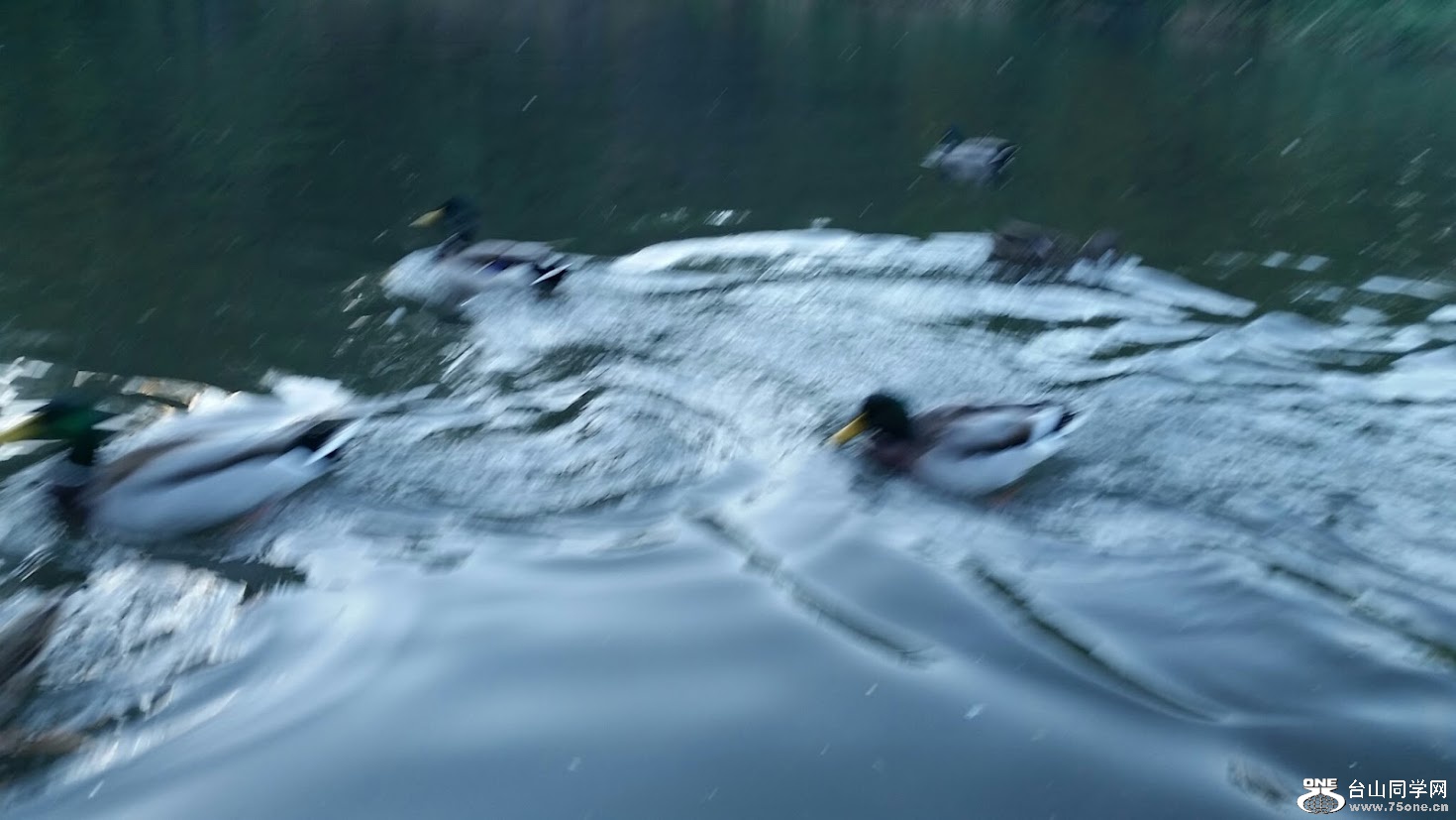 20151006_173540[3].jpg