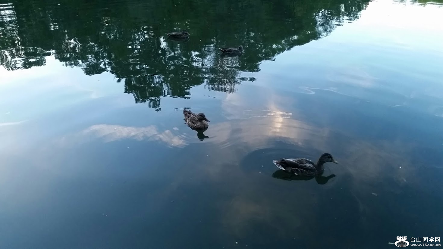 20151006_182201[2].jpg