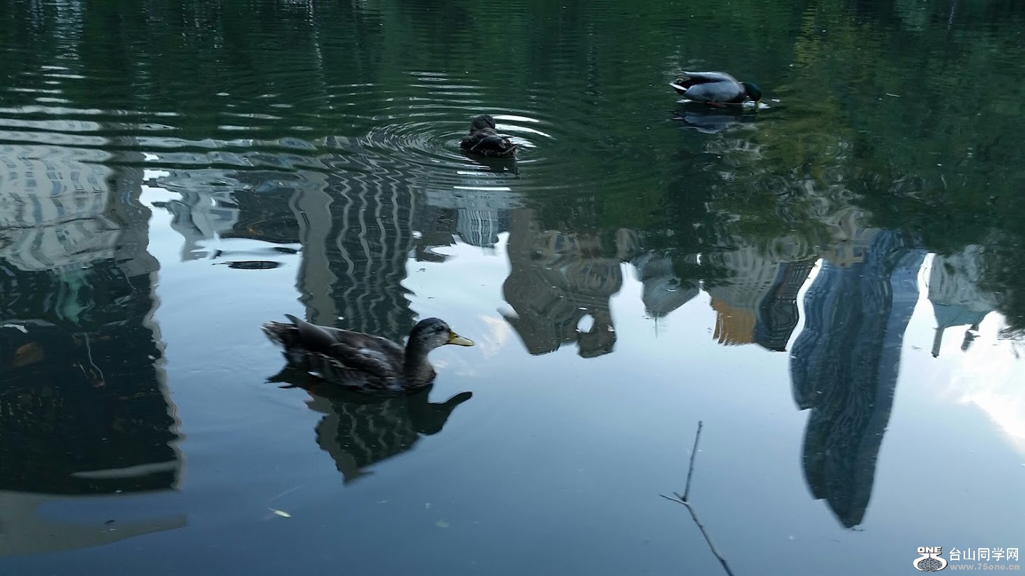 20151006_174520[1].jpg