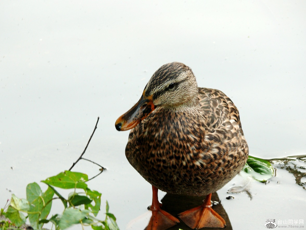 l2490962_conew1.jpg