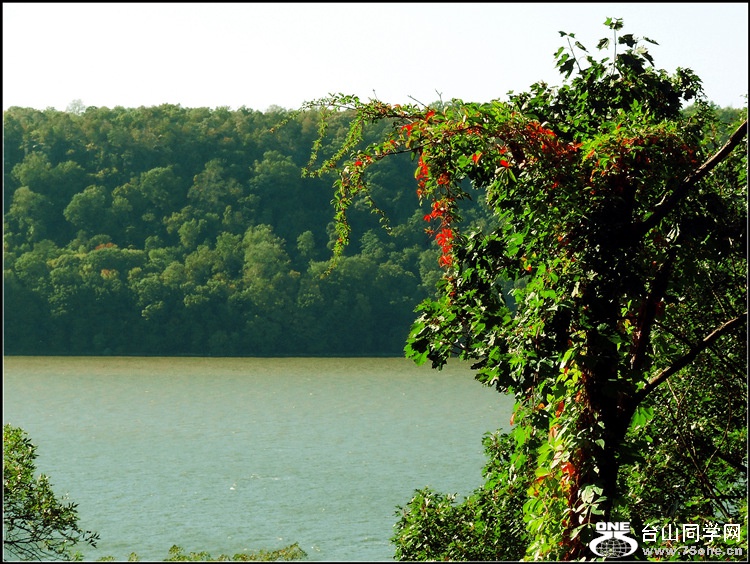 DSCN0503_.jpg