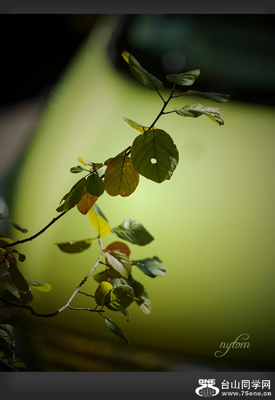 DSC_1966_.jpg