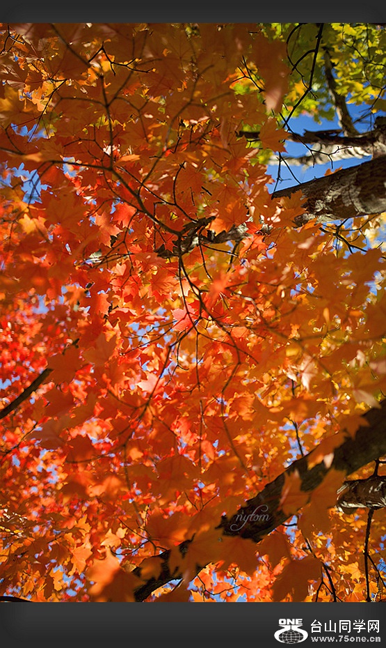 DSC_3858_.jpg