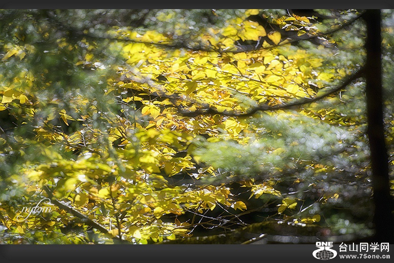 DSC_1931_.jpg