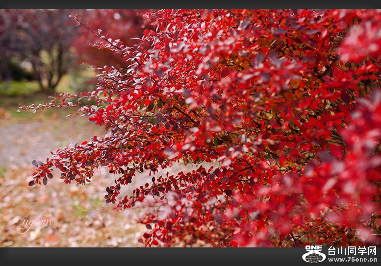 DSC_3690_.jpg
