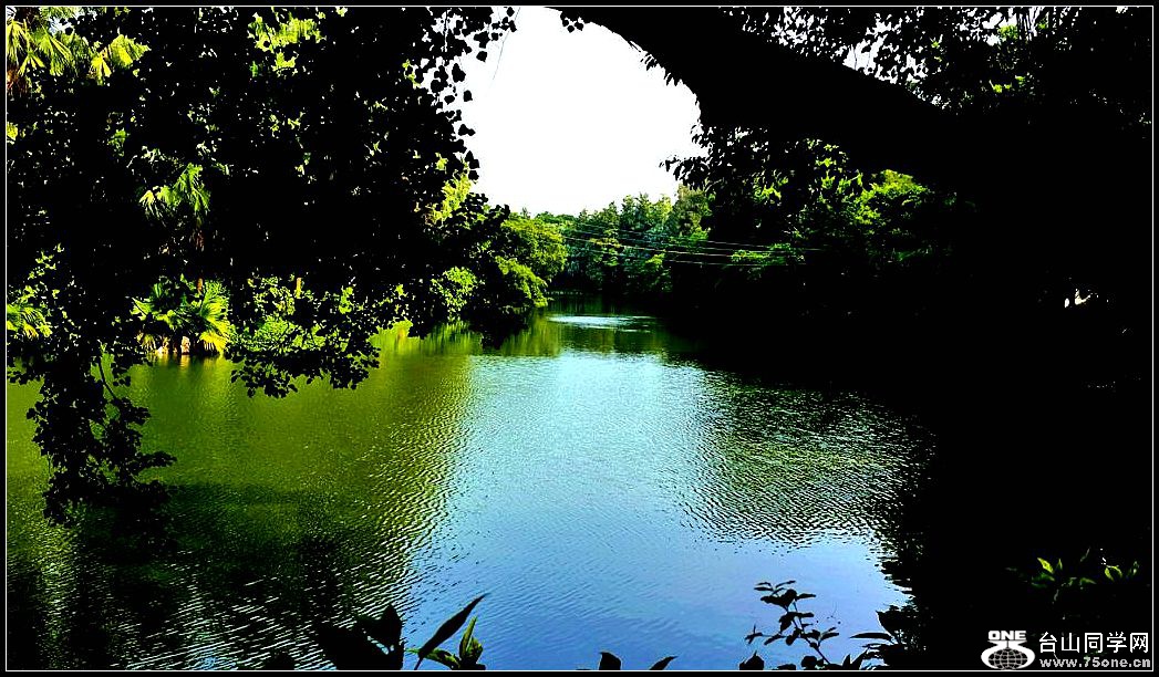 2015-09-28 15.03.46.jpg