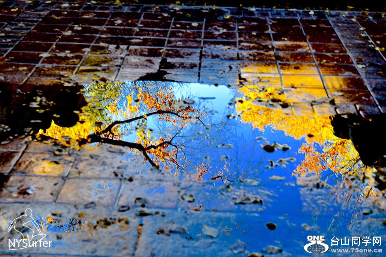 DSC_81165.jpg
