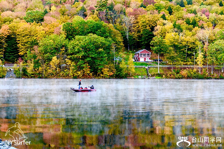 DSC_61296.jpg