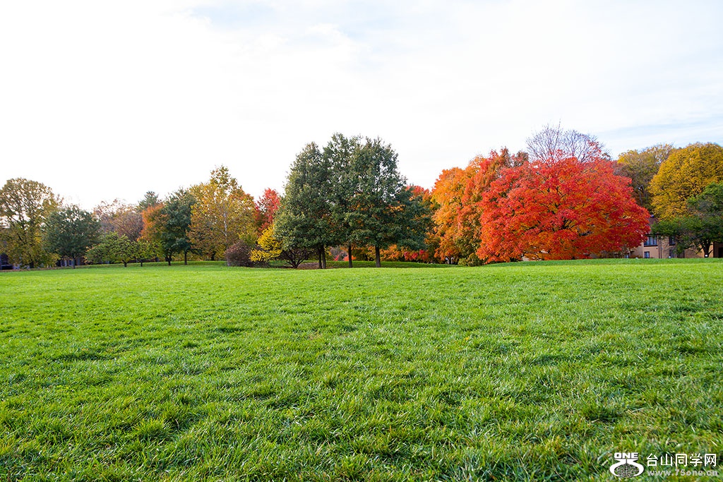 DSC_8736.jpg