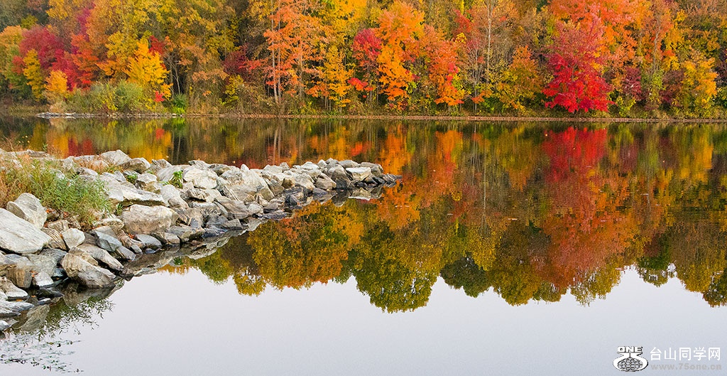 DSC_8553.jpg