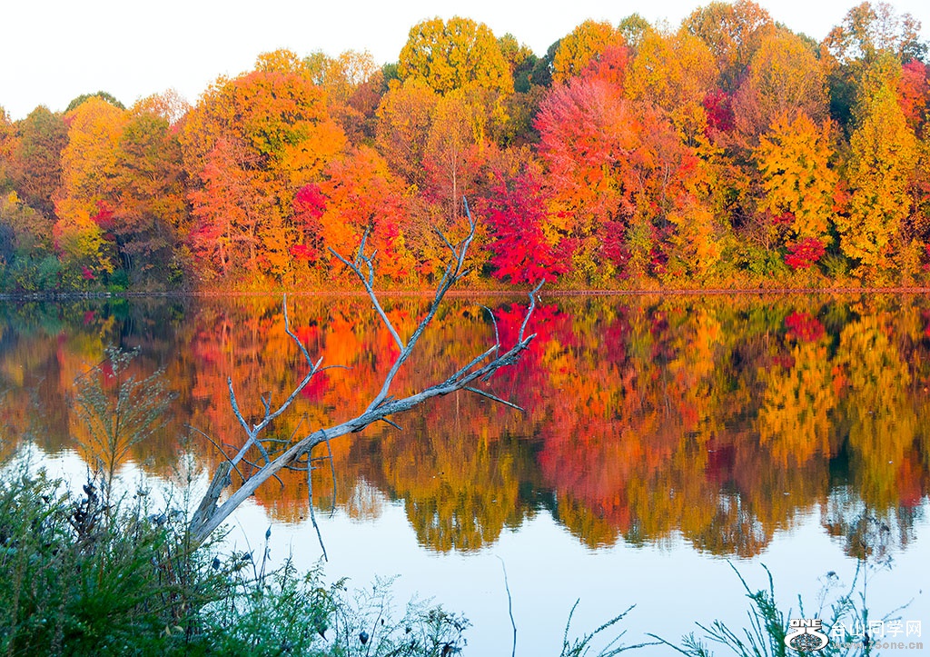 DSC_8608.jpg