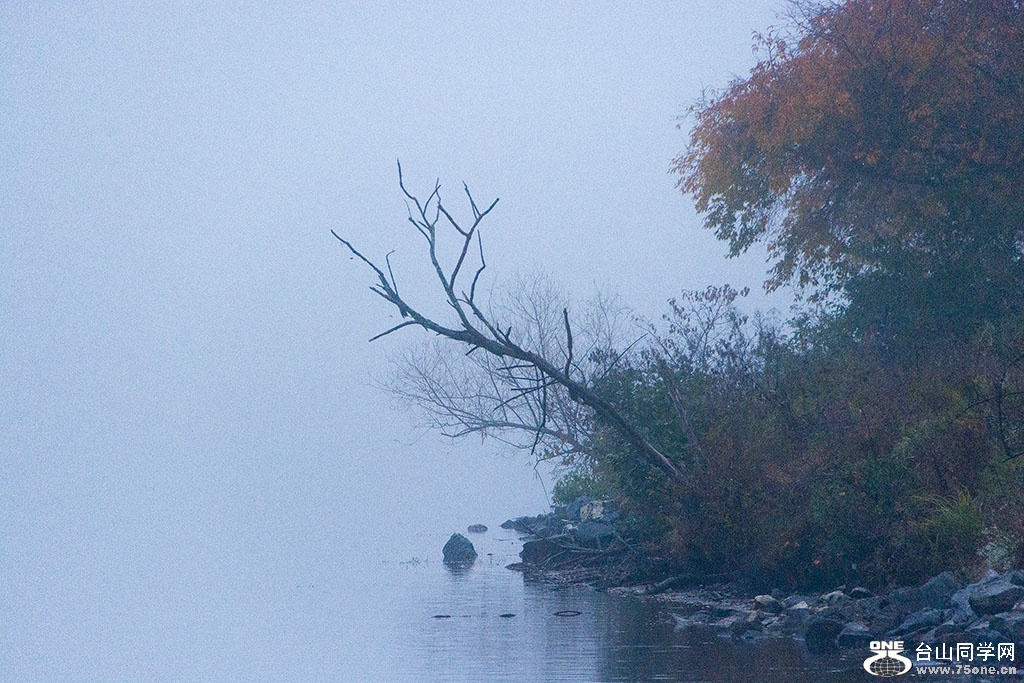 DSC_8774.jpg