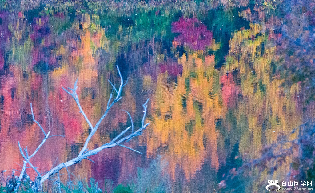 DSC_8601.jpg