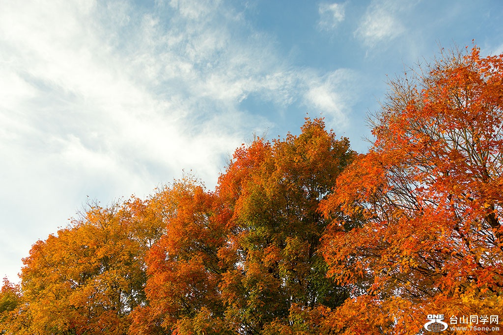 DSC_8731.jpg