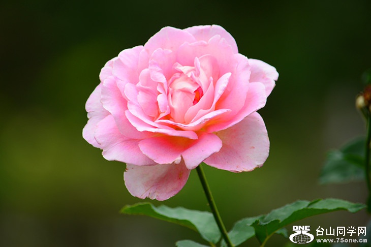 DSC_7045_.jpg