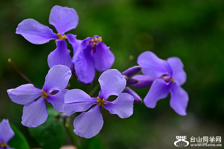 c9ee08706c5d424b8ac0dcd968cb3d3c_720_0_max_jpg.jpg