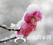 u=3257221581,4093680972&amp;fm=116&amp;gp=0.jpg