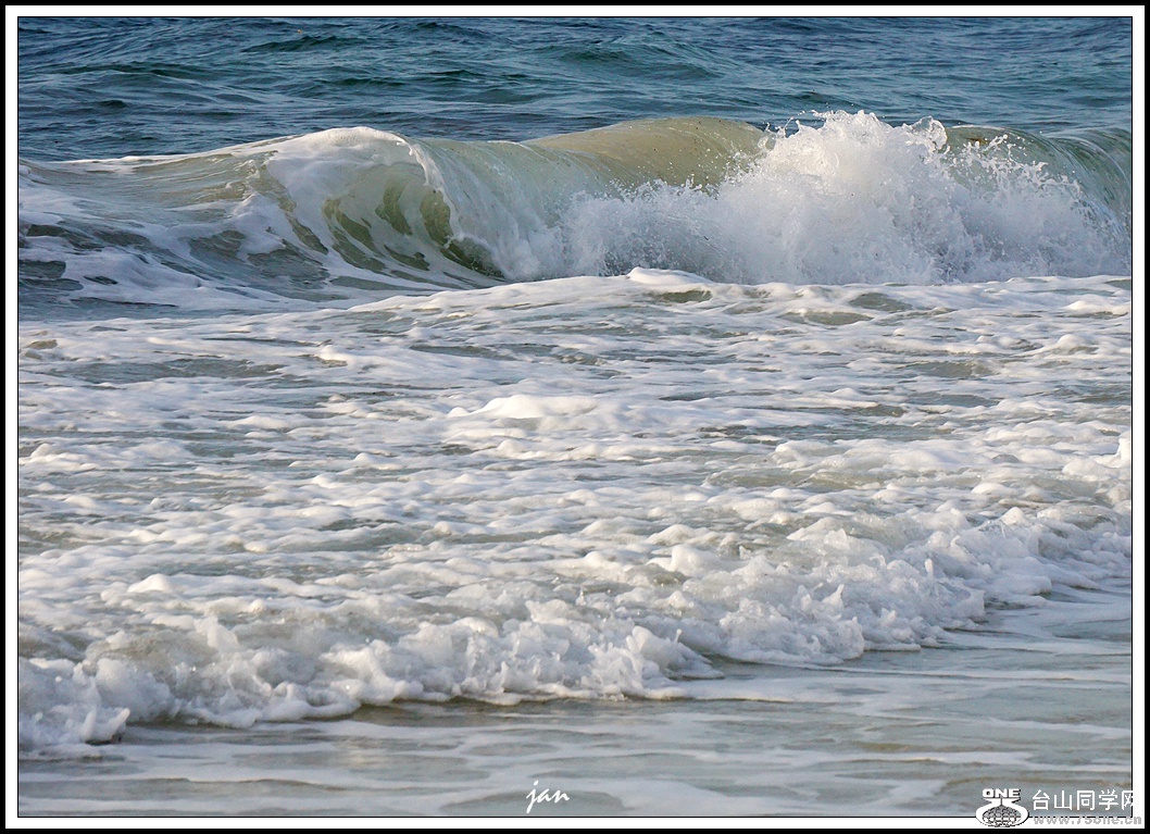 DSC08526_.jpg