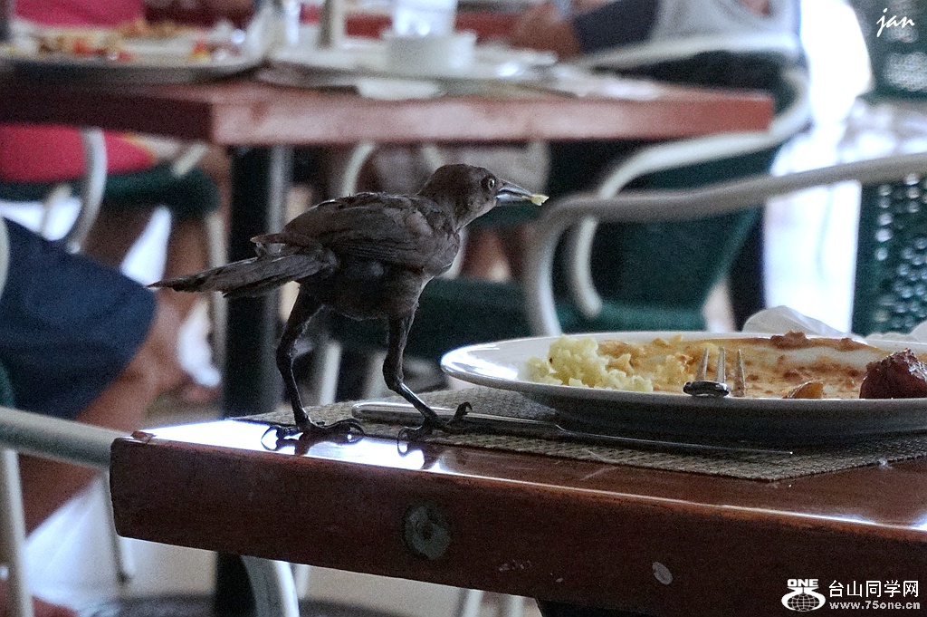 DSC08750.JPG
