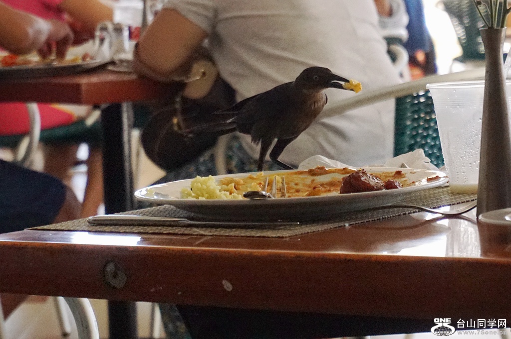 DSC08734.JPG