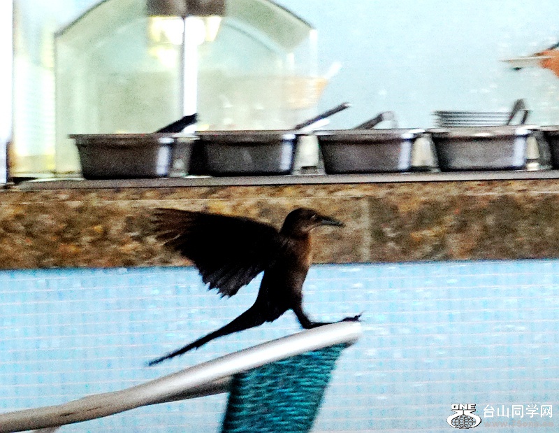 DSC08760.JPG