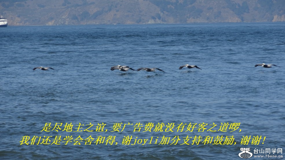 Ǿ֮,ҪѾûкÿ֮,ǻѧ͵,лjoyliӷֺ֧͹,лл!.jpg