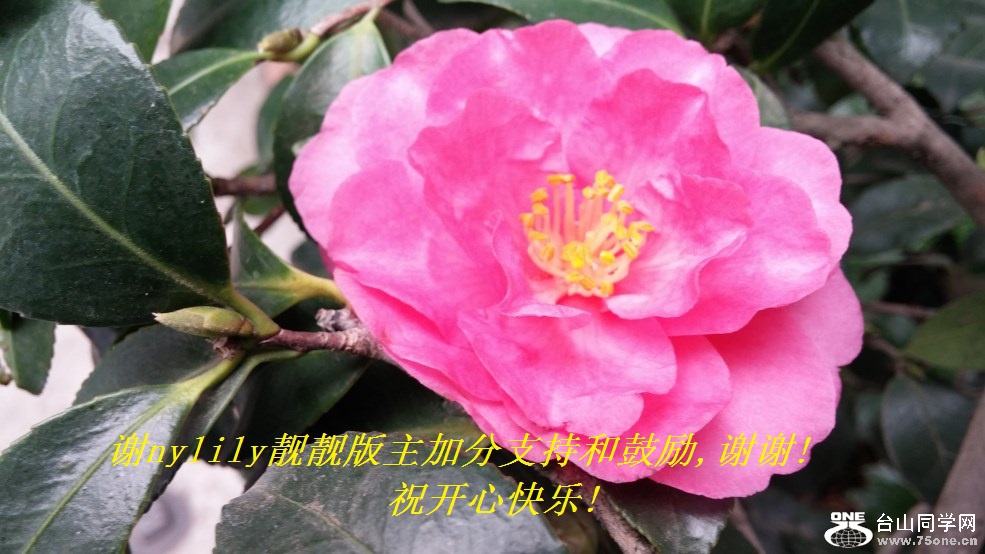 лnylilyӷֺ֧͹,лл!ףĿ!.jpg