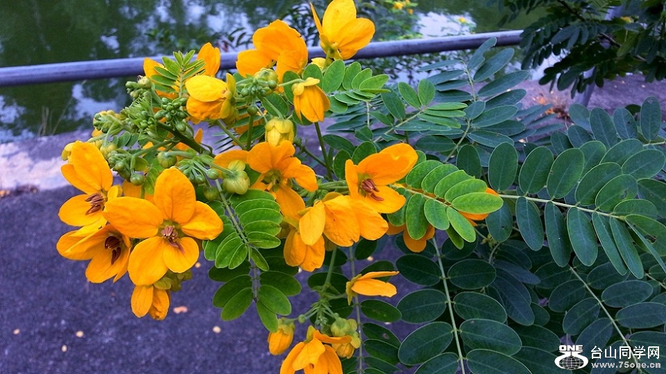 20151101_155758_.jpg