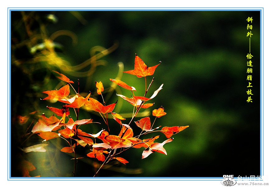 DPP_2015.10.280234_.jpg
