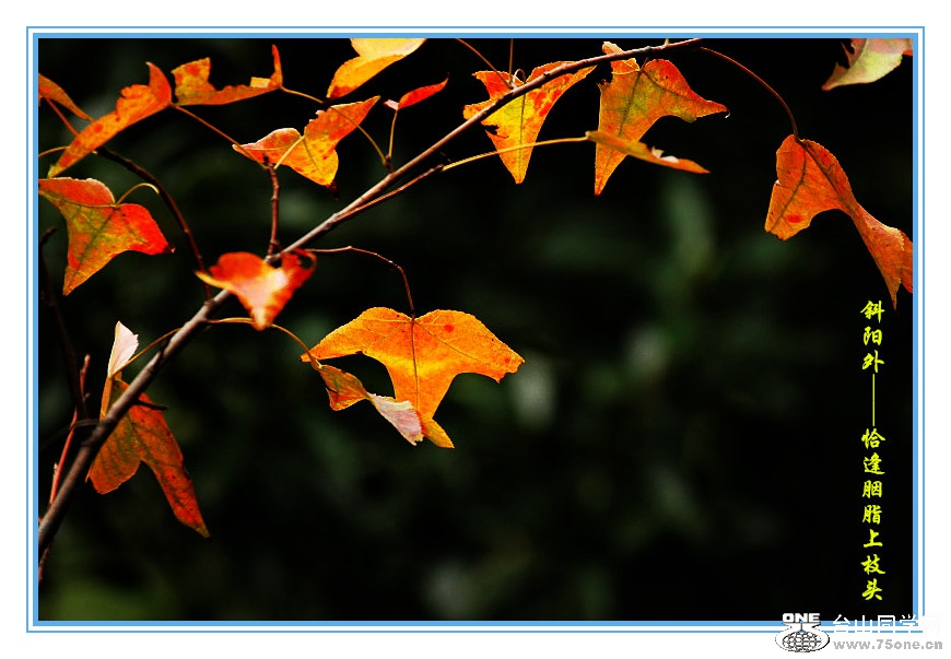DPP_2015.10.280286_.jpg